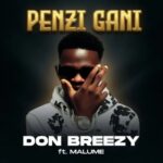 Penzi Gani
