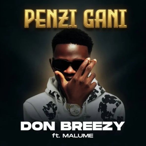Penzi Gani