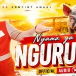 Nyama Ya Nguruwe