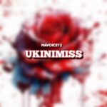 Ukinimiss (Remix)