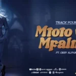 Mtoto Wa Mfalme