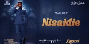 Nisaidie