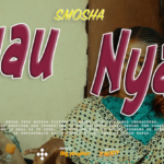 Nyau Nyau