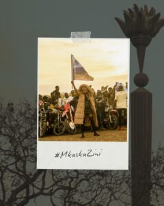 Mkaskazini