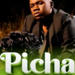 PICHA