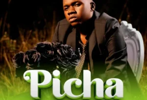 PICHA