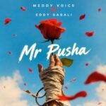 Mr Pusha