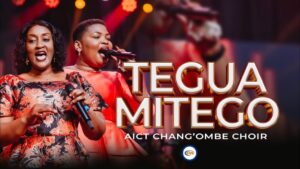 Tegua Mitego