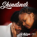 Shindindi