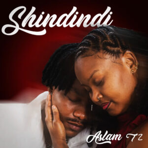 Shindindi