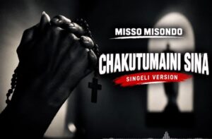 Chakutumaini Sina