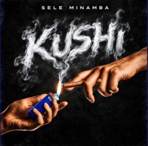 Kushi